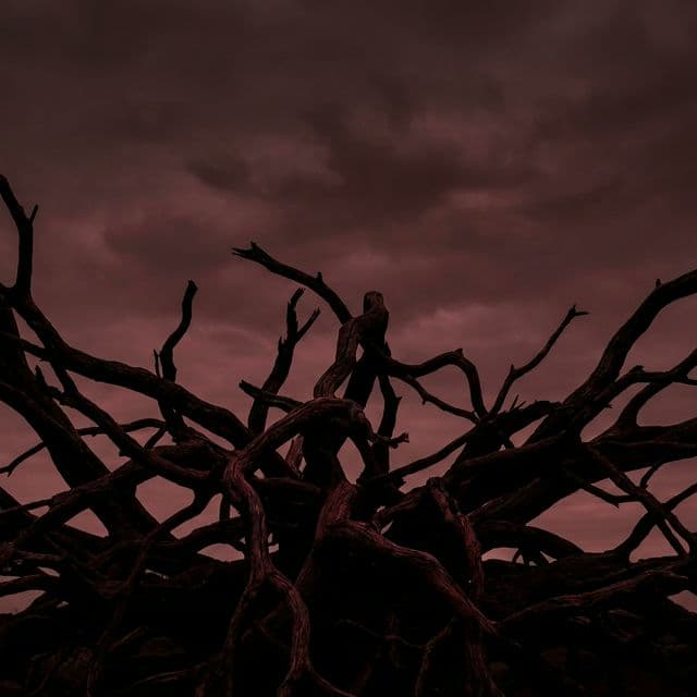 Red-Black Tree: 리눅스 커널과 Java HashMap의 심장 (자가 균형 트리 완벽 해부)